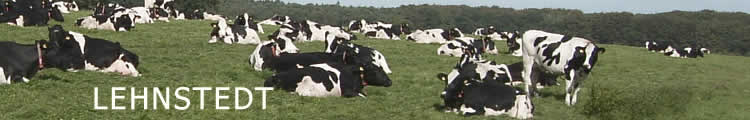 Lehnstedt